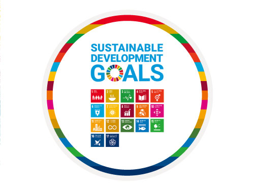 sdgs