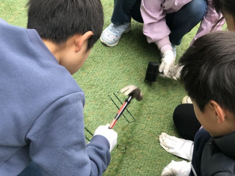 新しい芝生に杭を打ち込んでいるところ